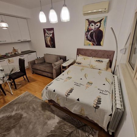 Owl Apartment Belgrado Exterior foto
